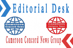 Of MOHWA and the Cameroon Concord News Group