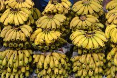 Cameroon:  Banana exports hit lowest point in May, since January 2023