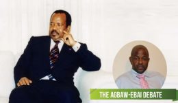 Why is Biya seeking re-election?