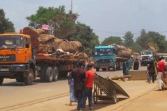 One Cameroonian peacekeeper killed, five wounded in Central African Republic