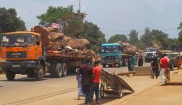 Cameroon truck drivers ask military to protect goods destined for CAR