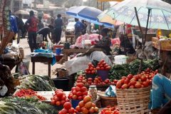 Nearly 3 million people face food insecurity in Cameroon