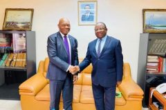 Cameroon, South Africa aim to restart trade commission