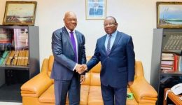 Cameroon, South Africa aim to restart trade commission