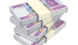 Yaoundé says CFA1.7 trillion in suspicious financial flows in Cameroon in 2023