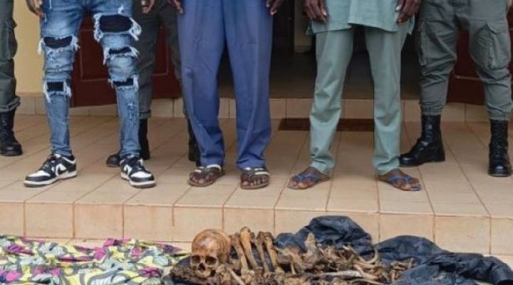 Cameroon under Biya: graves are being desecrated, human bones packaged and sold