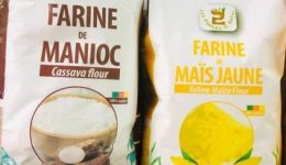 Biya regime removes VAT on locally produced flours